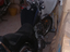 Immagine 2