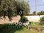 Immagine 25