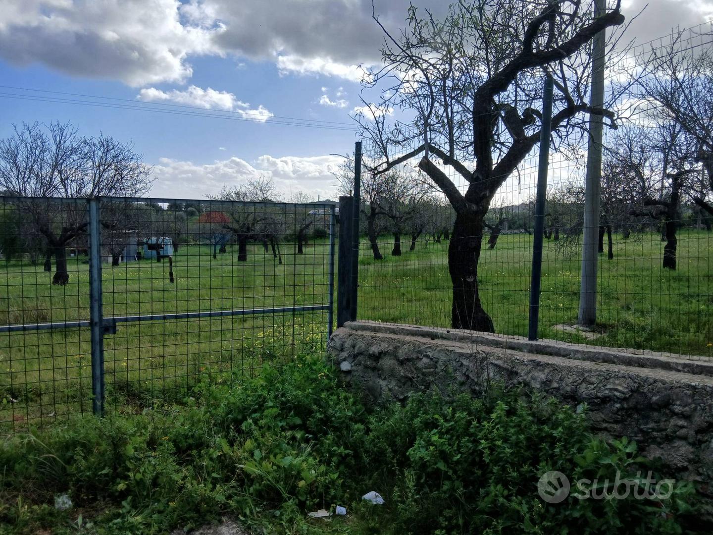 Terreno Edificabile - Avola - Vista 5