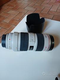 canon ef 70/200 f2.8 IS 