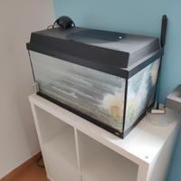 acquario Juwel 40 litri con base kallax