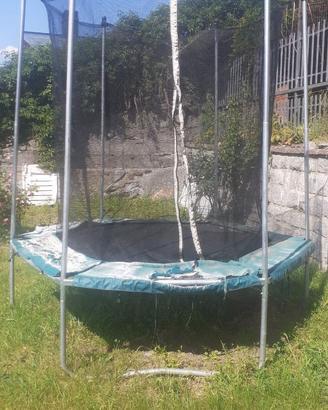 SALTERELLO USATO