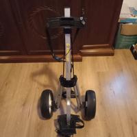carrello da golf 