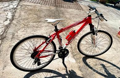 Bicicletta mountan bike
