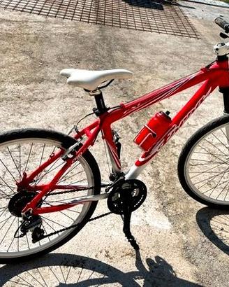 Bicicletta mountan bike