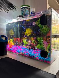 Acquario 40 litri + Filtro, Luce Accessori