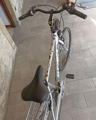 bici da trekking