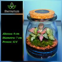 terrarium bomboniera by Sterrarium 