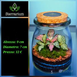 terrarium bomboniera by Sterrarium 