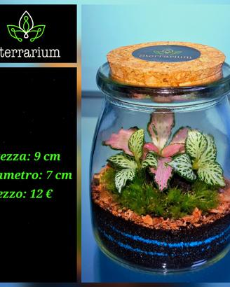 terrarium bomboniera by Sterrarium 