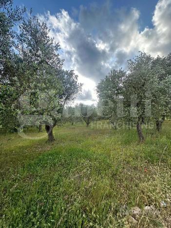 Terreno Agricolo Ostuni [Cod. rif 3132567VCG]