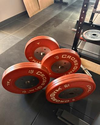 Dischi olimpionici 25 kg * 4