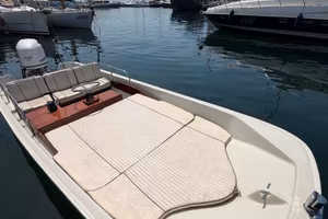 Boston Whaler 17 Sport Motore 115 cv Yamaha white