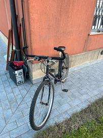 Bici vecchia trattabile