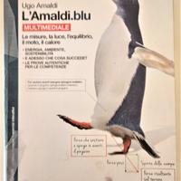Libri per liceo scientifico e scuola secondaria