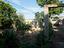 Immagine 14