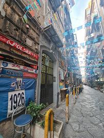 APPARTAMENTO RISTRUTTURATO ZONA SANITà