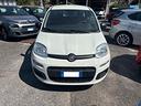 fiat-panda-1-2-easy-unico-proprietario-km-35000-ce