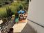 Immagine 9