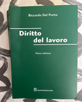 DIRITTO DEL LAVORO DEL PUNTA