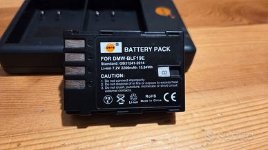 batteria + Caricabatterie usb-c Panasonic Gh5
