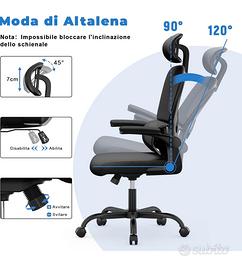 Sedia ergonomica
