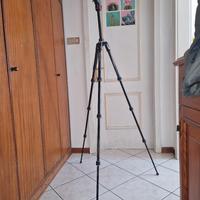 Manfrotto BeFree video tripid