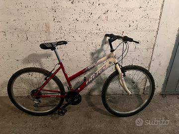 bicicletta mtb