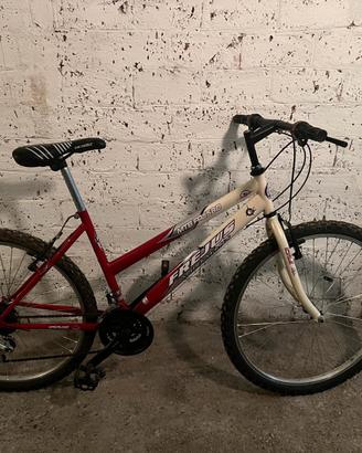 bicicletta mtb