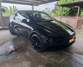 Tesla Model Y Long Range AWD dual motor