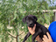 Immagine 4