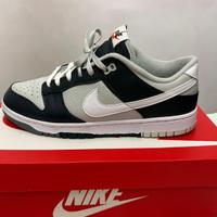 Nike dunk low retro tg 43