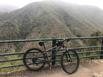 Specialized Rockhopper Comp 2020 29