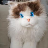 Robot Cat Metacat gatto robot per anziani