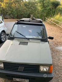 Panda Sisley doppio tetto apribile