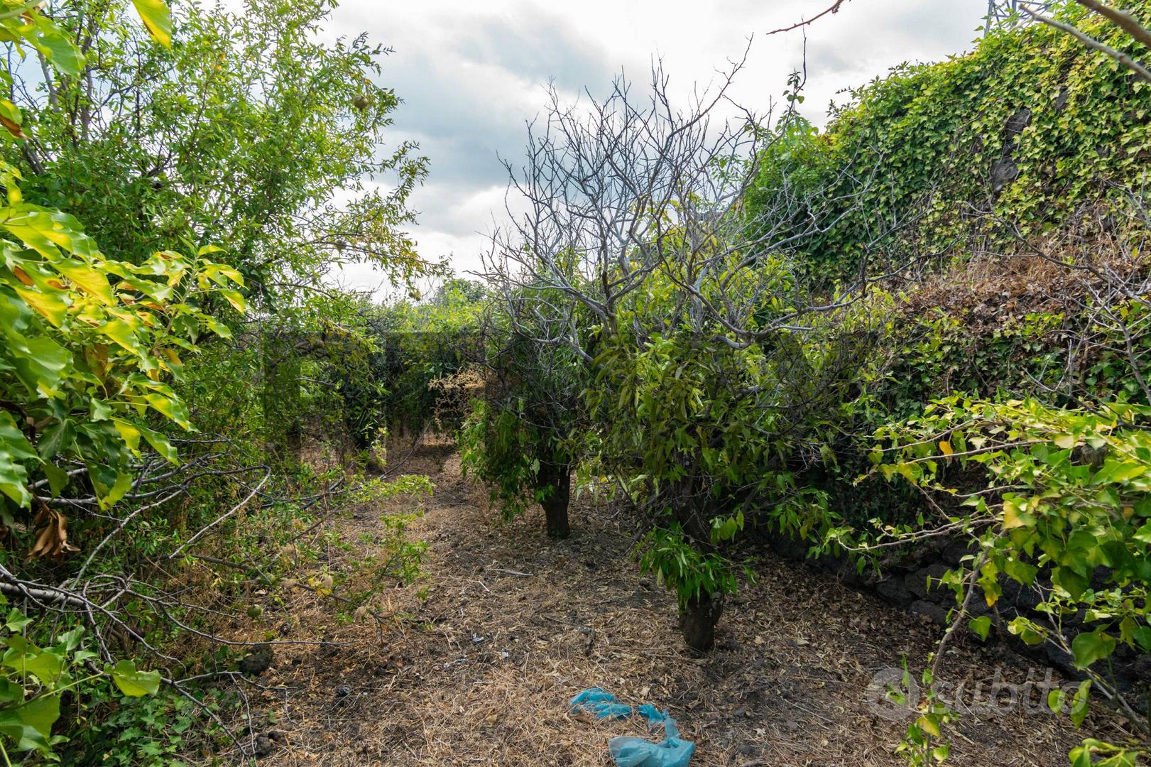 Terreno - Acireale - Vista 3