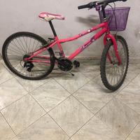 Mountain Bike mod.REGINA