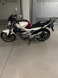 Moto Suzuki Gladius 650