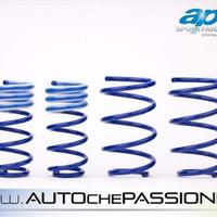 Kit molle sportive AP per Smart Fortwo 2001&gt;200