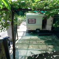 Castagneto terrazzato a Scala