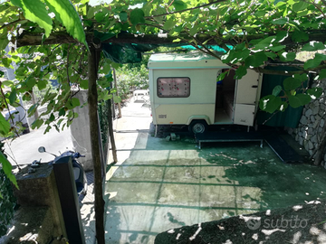 Castagneto terrazzato a Scala