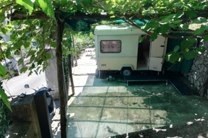 Castagneto terrazzato a Scala