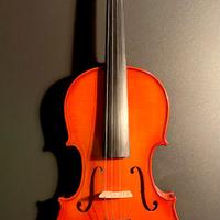 Violino con custodia