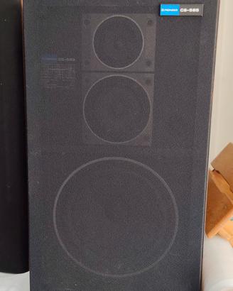 casse Pioneer CS-565