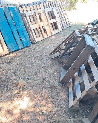 pallet in legno