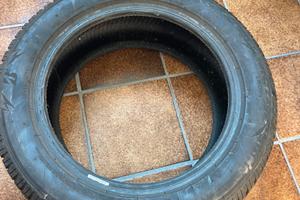 Gomma Bridgestone Blizzak LM005 205/55R16 91H