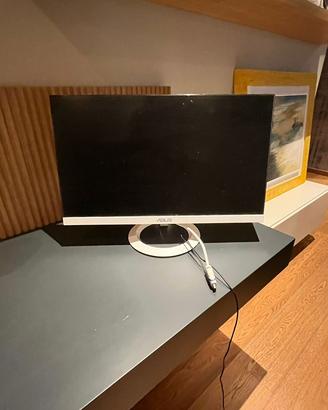 Monitor Asus 24  pollici bianco