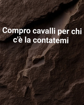 Cavalli