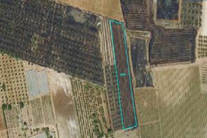Terreno agricolo