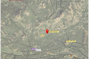 Splendidi Terreni Comune Telti & Monti